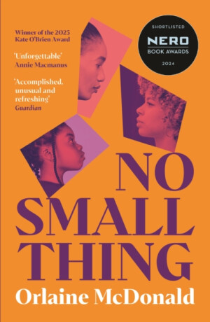 No Small Thing - Orlaine McDonald