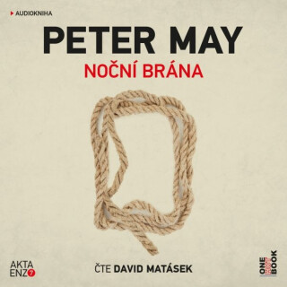 Noční brána - Peter May