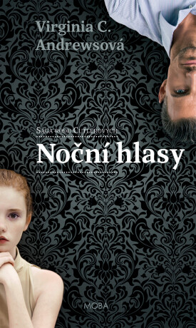 Noční hlasy - Virginia C. Andrewsová