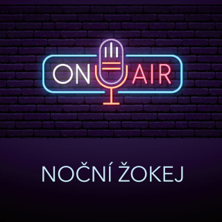 Noční žokej - Antonín Přidal