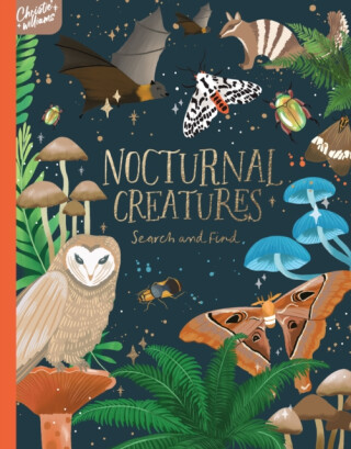 Nocturnal Creatures Search and Find - Christie Williams