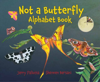 Not a Butterfly Alphabet Book - Jerry Pallotta,Shennen Bersani