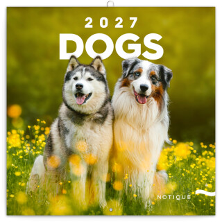 NOTIQUE Grid calendar Dogs 2027, 30 x 30 cm - 
