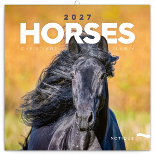 NOTIQUE Grid calendar Horses – Christiane Slawik 2027, 30 x 30 cm - 