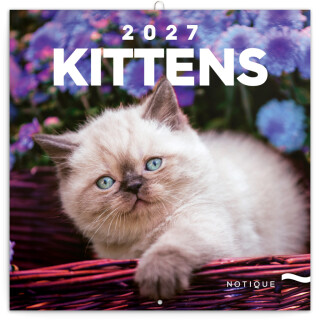 NOTIQUE Grid calendar Kittens 2027, 30 x 30 cm - 