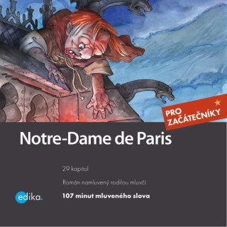 Notre-Dame de Paris - Lucie Přikrylová
