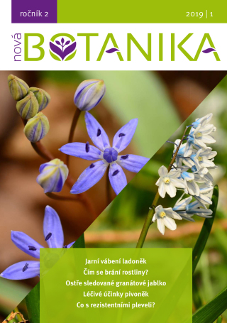 Nová Botanika - Botanica Nova,z.s. a kolektiv autorů