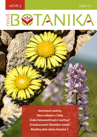 Nová Botanika - Botanica Nova