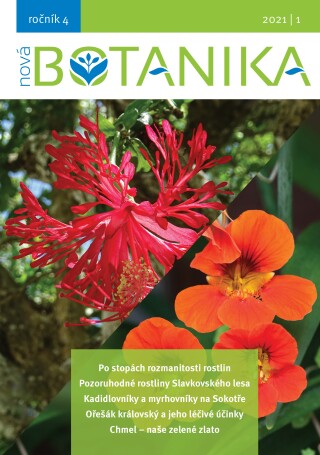 Nová Botanika - Botanica Nova,z.s. a kolektiv autorů