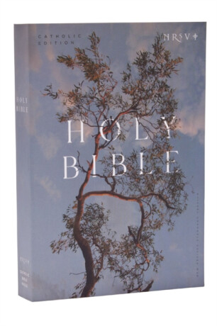 NRSV Catholic Edition Bible, Eucalyptus Paperback (Global Cover Series) - Catholic Bible Press