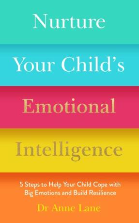 Nurture Your Childâ€™s Emotional Intelligence - Anne Lane