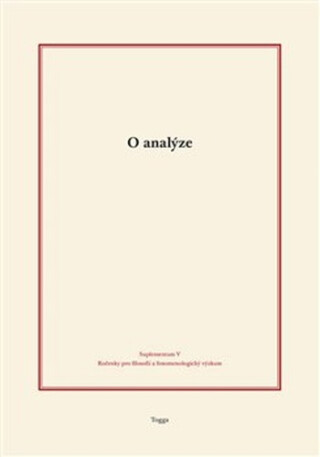 O analýze - Tomáš Holeček