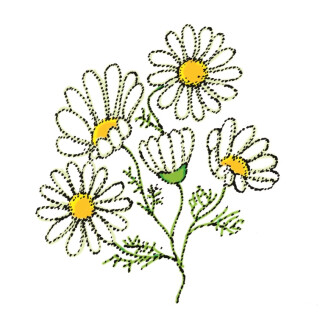 O heřmánkové víle - Marie Kubátová