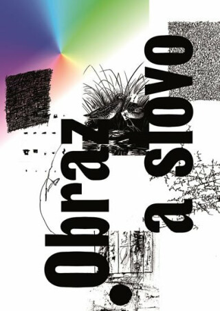 Obraz a slovo - Alena Pomajzlová