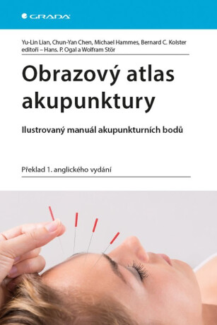 Obrazový atlas akupunktury - Ilustrovaný manuál akupunkturních bodů - Bernard C. Kolster,Lian Yu-Lin,Chen Chun-Yan,Hammes Michael,Wolfram Stör