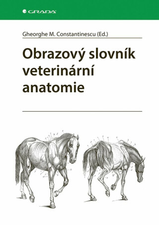 Obrazový slovník veterinární anatomie - Gheorghe M. Constantinescu