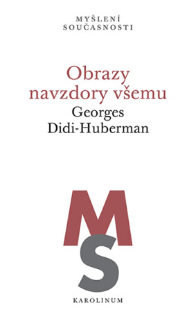 Obrazy navzdory všemu - Georges Didi-Huberman