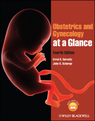 Obstetrics and Gynecology at a Glance - Errol R.  Norwitz,John O.  Schorge