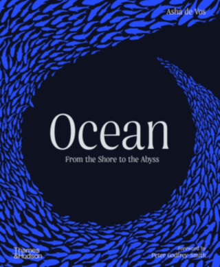 Ocean - Asha de Vos