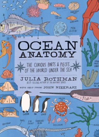 Ocean Anatomy - Julia Rothman,John Niekrasz