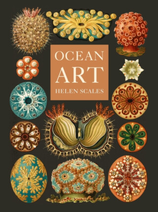 Ocean Art - Helen Scales