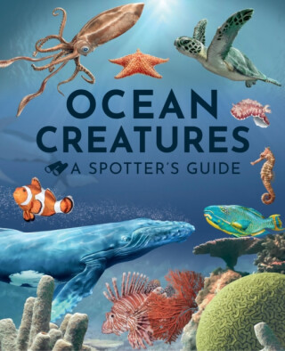 Ocean Creatures: A Spotter's Guide - Sabrina Weiss