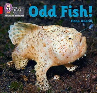 Odd Fish! - Undrill Fiona