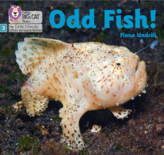 Odd Fish! - Undrill Fiona