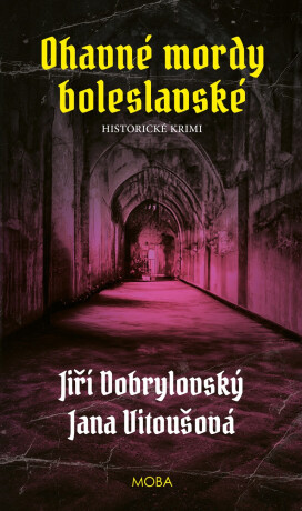 Ohavné mordy boleslavské - Jiří Dobrylovský,Jana Vitoušová