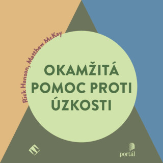 Okamžitá pomoc proti úzkosti - Rick Hanson,Matthew McKay