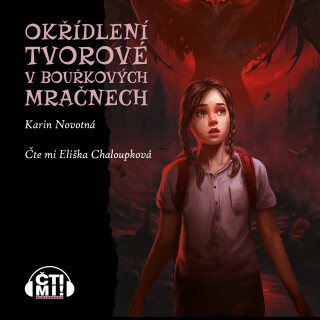 Okřídlení tvorové v bouřkových mračnech - Karin Novotná
