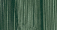 Olejová barva Cranfield Artist’s 40ml – Terre Verte - 