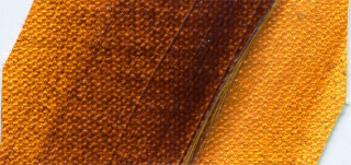 Olejová barva Norma 35ml – 604 transparent ochre - 