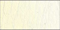 Olejová barva Old Holland 40ml – 006 Old Holland Yellow Light - 