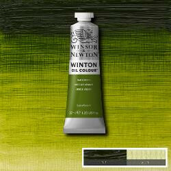 Olejová barva Winton 37ml – 599 sap green - 