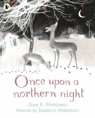 Once Upon A Northern Night - Pendziwol Jean E.
