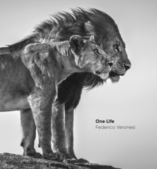 One Life - Federico Veronesi