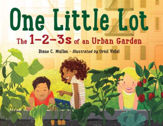 One Little Lot - Diane C. Mullen,Oriol Vidal