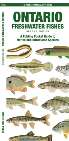 Ontario Freshwater Fishes - Matthew Morris