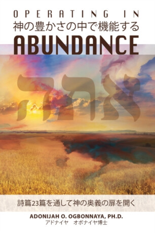 Operating in Abundance (Japanese Edition) - Adonijah O Ogbonnaya Ph D