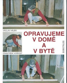 Opravujeme v domě a v bytě - Václav Hájek,František Vošický