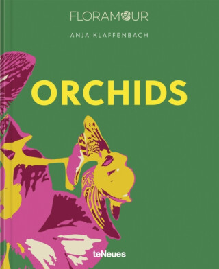 Orchids - Anja Klaffenbach