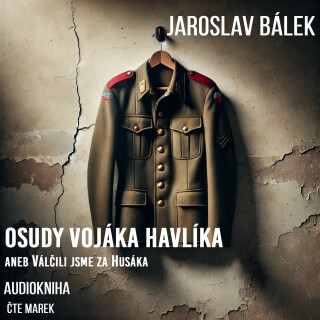 Osudy vojáka Havlíka aneb Válčili jsme za Husáka - Jaroslav Bálek