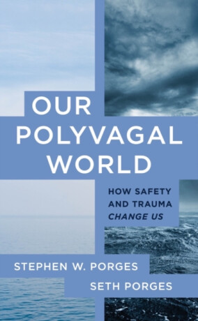 Our Polyvagal World - Stephen W. Porges,Seth Porges