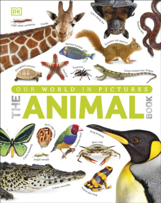 Our World in Pictures The Animal Book - DK
