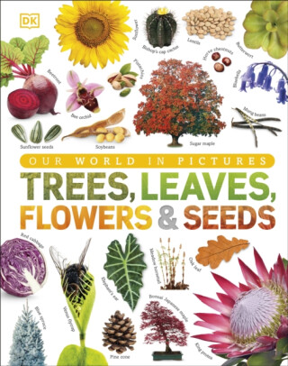 Our World in Pictures: Trees, Leaves, Flowers & Seeds - DK