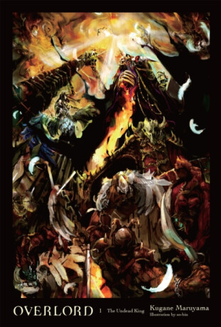 Overlord, Vol. 1 (light novel) - Maruyama Kugane