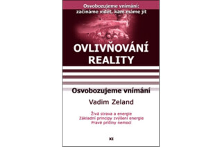 Ovlivňování reality 11 - Osvobozujeme vnímání - Vadim Zeland