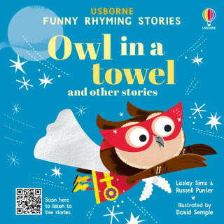 Owl in a towel and other stories - Lesley Sims,Russell Punter