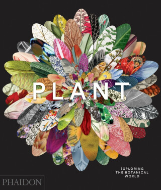 Plant: Exploring the Botanical World - 